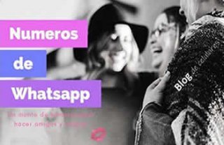 Números de Whatsapp de Chicas o Mujeres Solteras para Chatear - Blog de