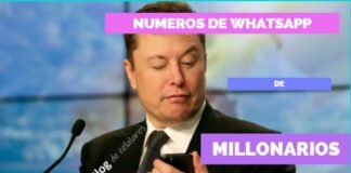 numeros y grupso de whatsapp de millonarios